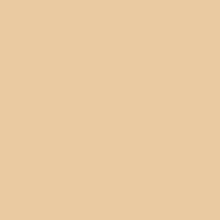 Load image into Gallery viewer, British Standard BS 381C 388 Beige