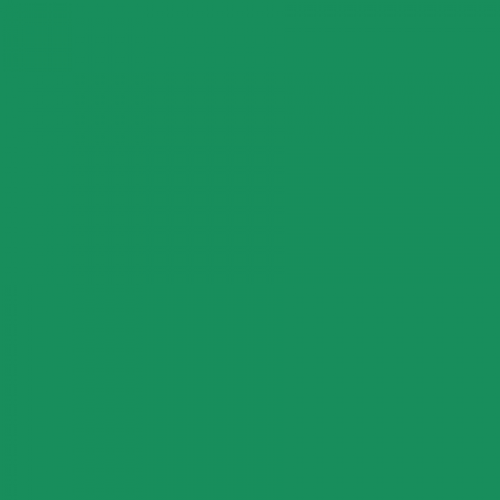 British Standard BS 381C 262 Bold Green