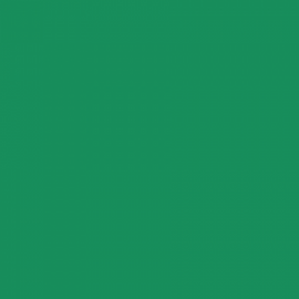 British Standard BS 381C 262 Bold Green