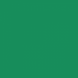 British Standard BS 381C 262 Bold Green