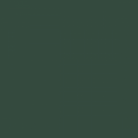 British Standard BS 381C 227 Deep Brunswick Green