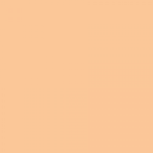 British Standard BS 381C 369 Biscuit