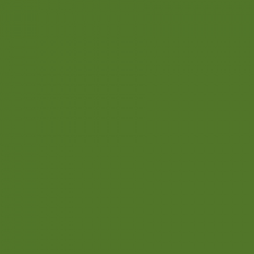 British Standard BS 381C 221 Brilliant Green