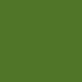 British Standard BS 381C 221 Brilliant Green