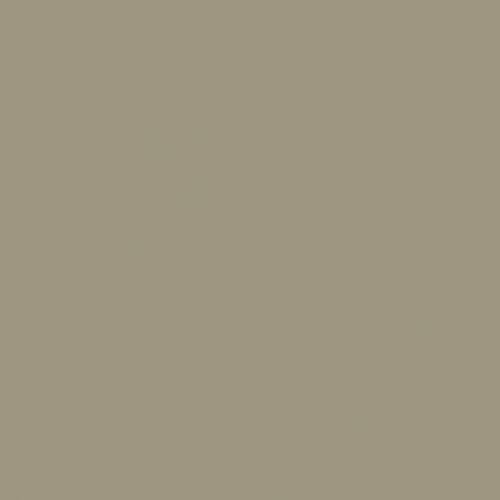 British Standard BS 381C 389 Camouflage Beige