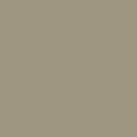 British Standard BS 381C 389 Camouflage Beige