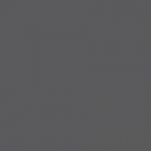 Load image into Gallery viewer, British Standard BS 381C 629 Dark Camouflage Grey / Quacker Grey
