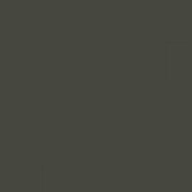 British Standard BS 381C 224 Deep Bronze Green