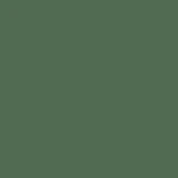 British Standard BS 381C 282 Forest Green