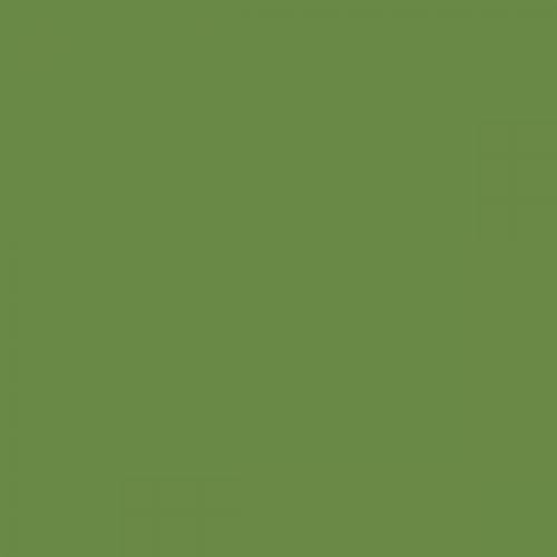 British Standard BS 381C 218 Grass Green