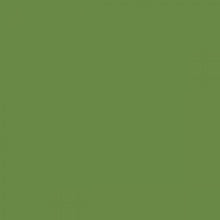 Load image into Gallery viewer, British Standard BS 381C 218 Grass Green