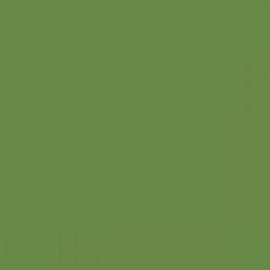 British Standard BS 381C 218 Grass Green