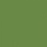 British Standard BS 381C 218 Grass Green