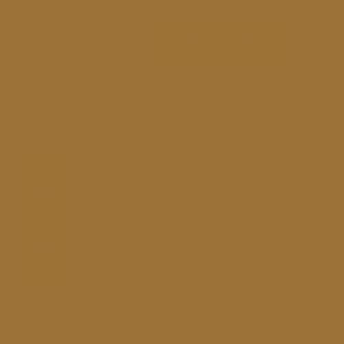 British Standard BS 381C 320 Light Brown