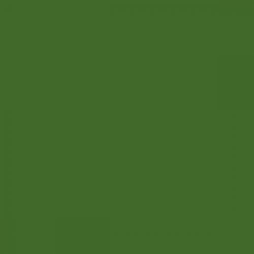 British Standard BS 381C 225 Light Brunswick Green