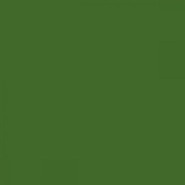 British Standard BS 381C 225 Light Brunswick Green