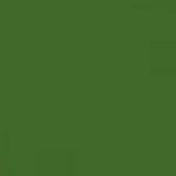 British Standard BS 381C 225 Light Brunswick Green