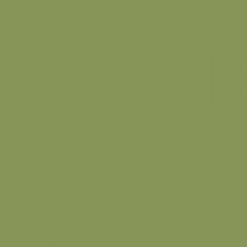British Standard BS 381C 278 Light Olive Green