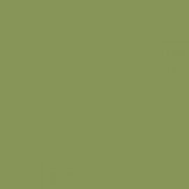 British Standard BS 381C 278 Light Olive Green