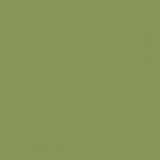 British Standard BS 381C 278 Light Olive Green