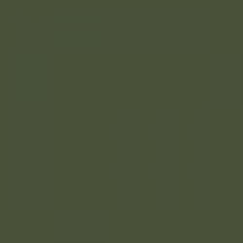 British Standard BS 381C 223 Middle Bronze Green