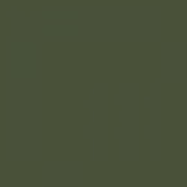 British Standard BS 381C 223 Middle Bronze Green