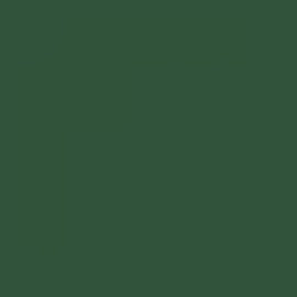 British Standard BS 381C 226 Mid Brunswick Green
