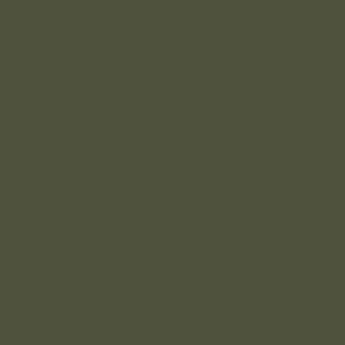 British Standard BS 381C 298 Olive Drab