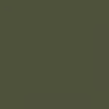 Load image into Gallery viewer, British Standard BS 381C 298 Olive Drab