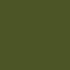 British Standard BS 381C 220 Olive Green