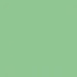 British Standard BS 381C 275 Opaline Green