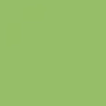 Load image into Gallery viewer, British Standard BS 381C 217 Sea Green