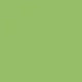 British Standard BS 381C 217 Sea Green