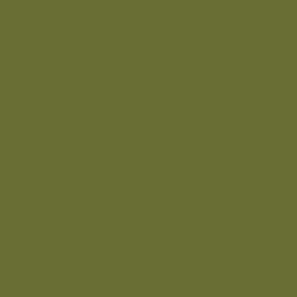 British Standard BS 381C 222 Light Bronze Green