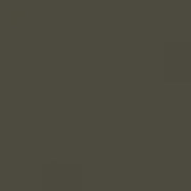 British Standard BS 381C 337 Very Dark Drab