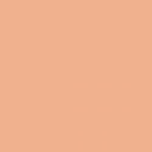 British Standard BS 381C 447 Salmon Pink
