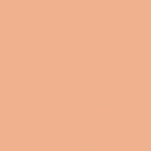 Load image into Gallery viewer, British Standard BS 381C 447 Salmon Pink