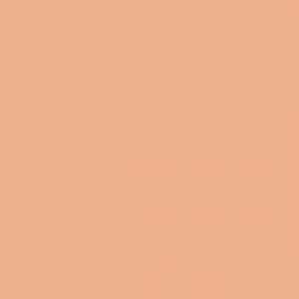 British Standard BS 381C 447 Salmon Pink