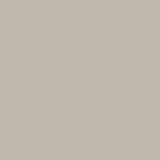 British Standard BS 4800 00-A-03 Grey