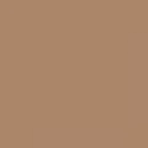 British Standard BS 4800 04-B-19 Beige
