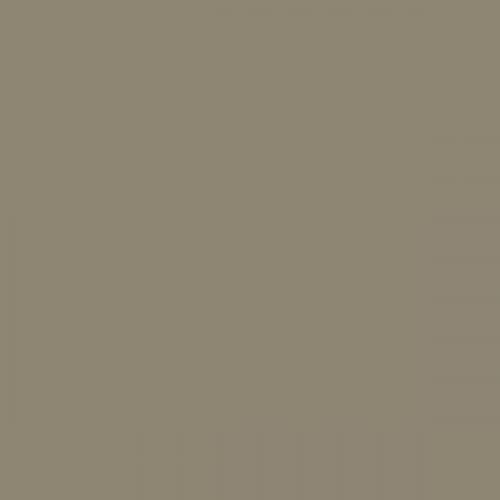 British Standard BS 4800 06-A-07 Grey
