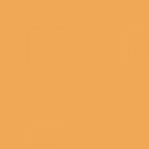 British Standard BS 4800 06-D-41 Orange