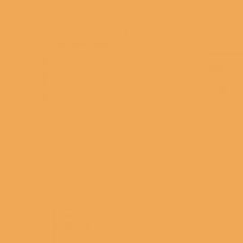 British Standard BS 4800 06-D-41 Orange