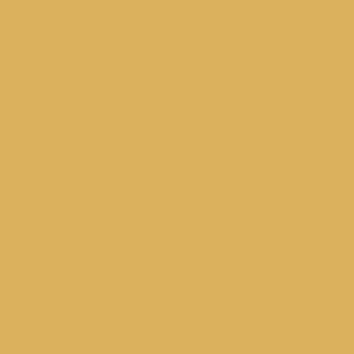 British Standard BS 4800 08-B-17 Fawn
