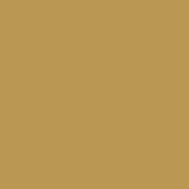British Standard BS 4800 08-B-19 Beige