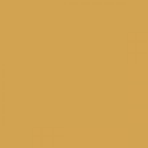 British Standard BS 4800 08-C-33 Beige
