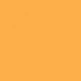 British Standard BS 4800 08-D-41 Yellow