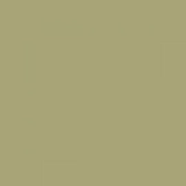 British Standard BS 4800 10-B-19 Beige
