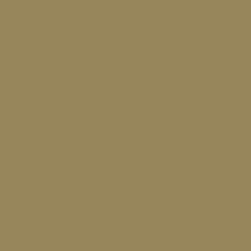 British Standard BS 4800 10-B-21 Lizard