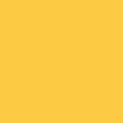 British Standard BS 4800 10-D-41 Yellow